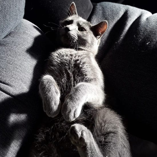 Perjalanan Tanpa Berbagi