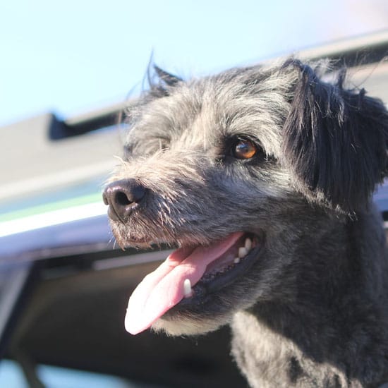 Perjalanan Dalam Kota